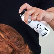 L´oréal Professionnel Fix Anti-Frizz - Sprej proti krepatění vlasů 250 ml